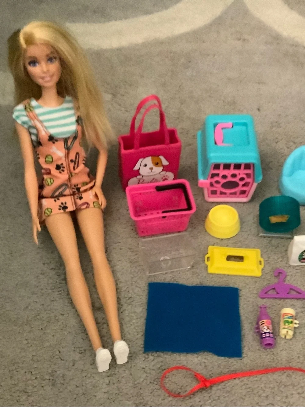 Barbie Pink and Blue Pet Care Playset with Doll and Pets